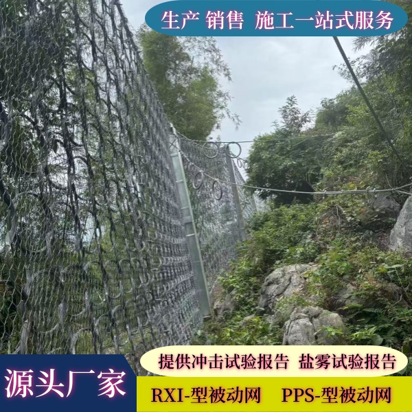 微信图片_20250226095503_副本.jpg