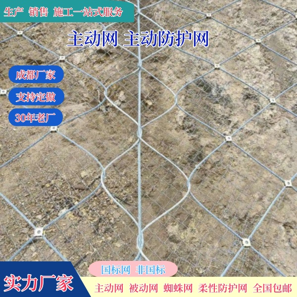微信图片_202502201412442_副本.jpg